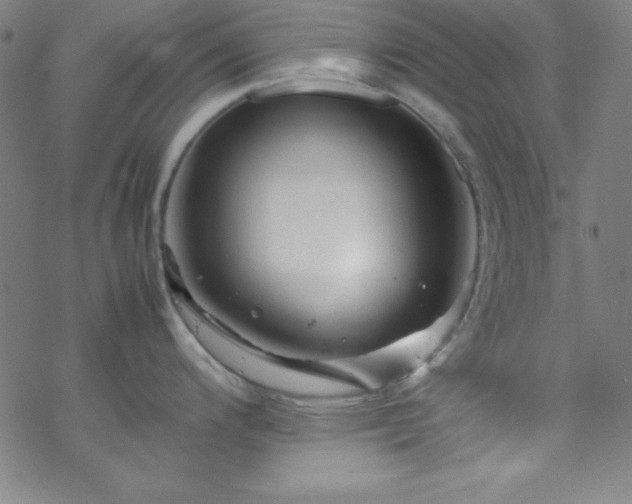 X0000070191200200606021049