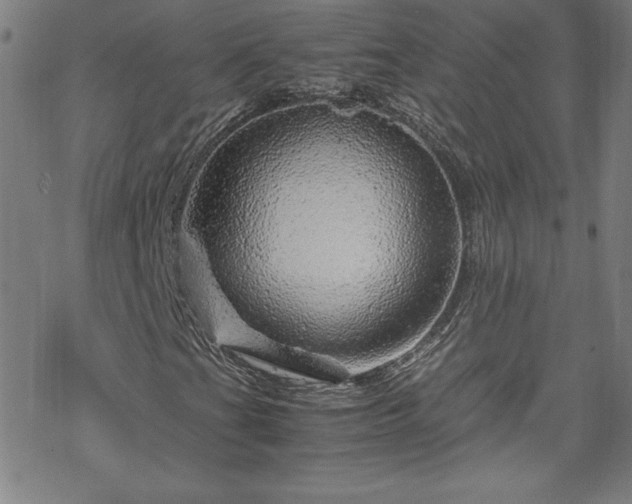 X0000070191201200606021049