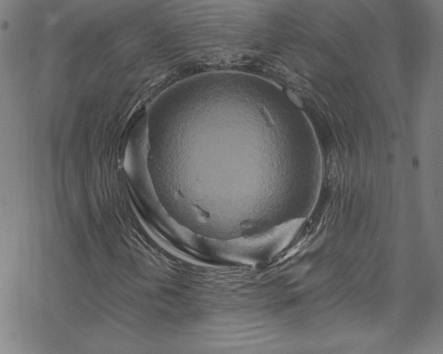 X0000070191202200606021049