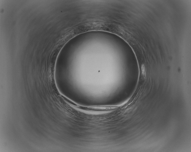 X0000070191203200606021049