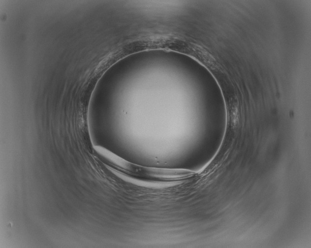 X0000070191204200606021049