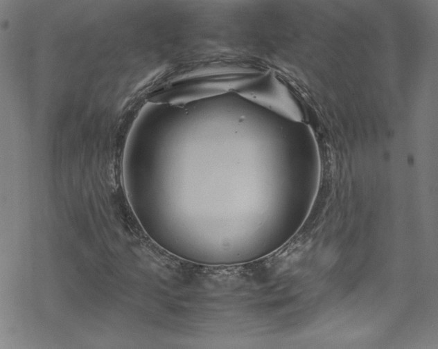 X0000070191205200606021049