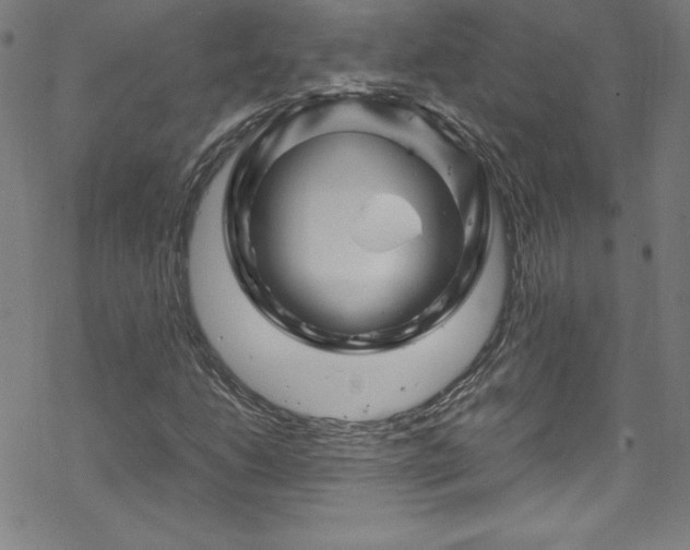 X0000070191206200606021049