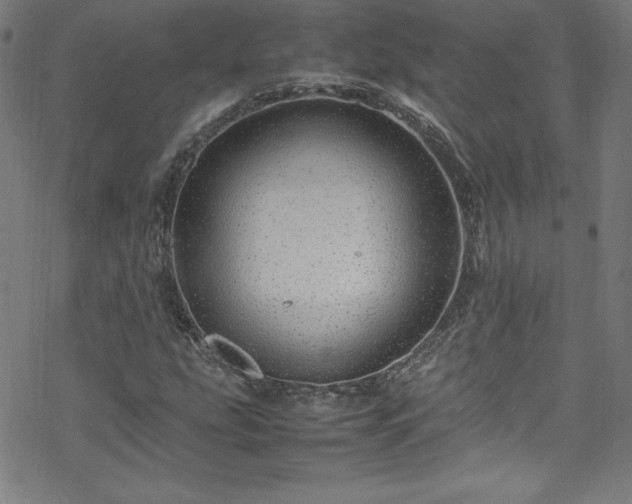 X0000070191207200606021049