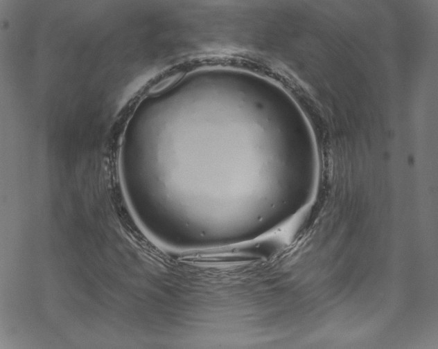 X0000070191208200606021049