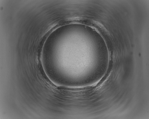 X0000070191209200606021049