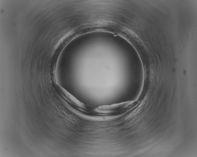 X0000070191210200606021049