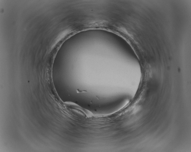 X0000070191211200606021049