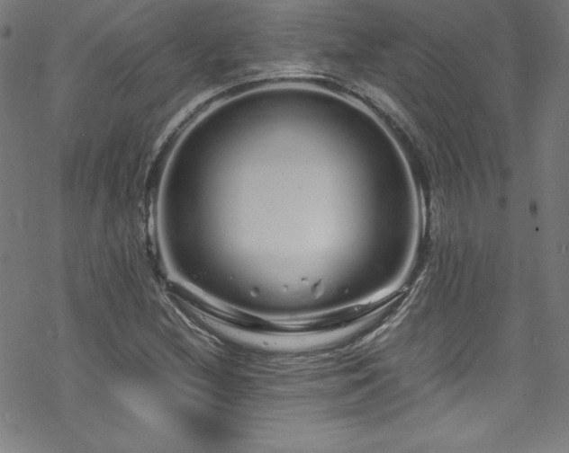 X0000070191212200606021049