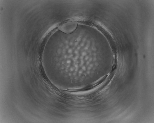 X0000070191213200606021049