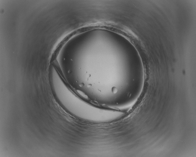 X0000070191216200606021049