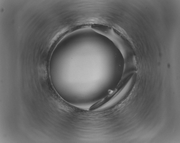 X0000070191218200606021049