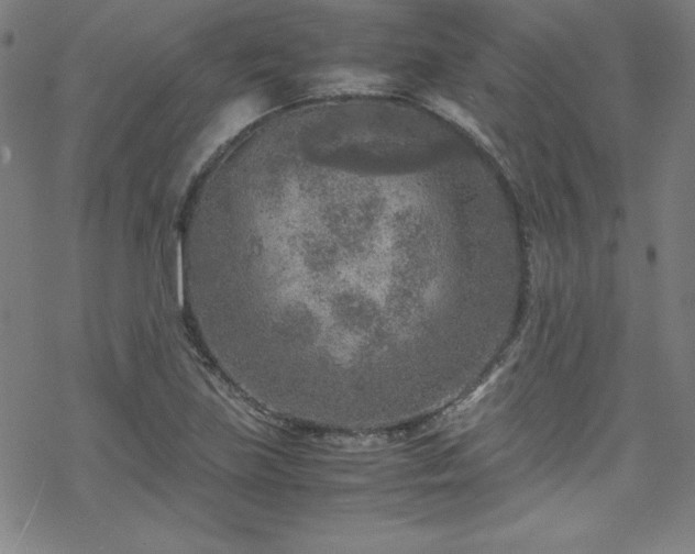 X0000070191219200606021049