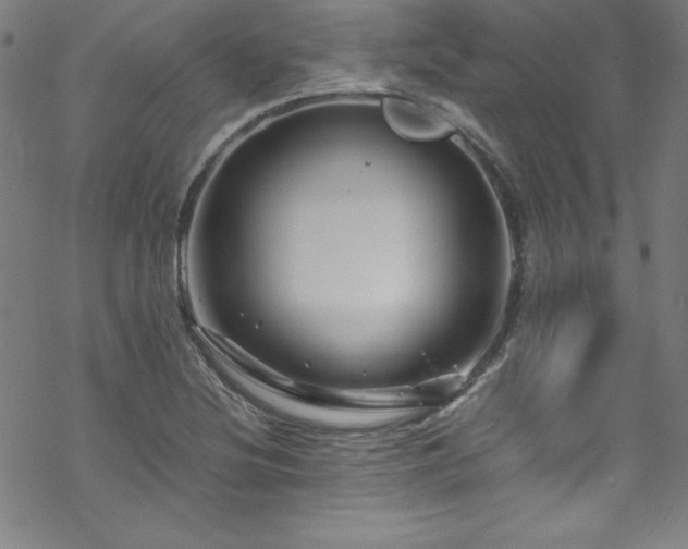 X0000070191220200606021049