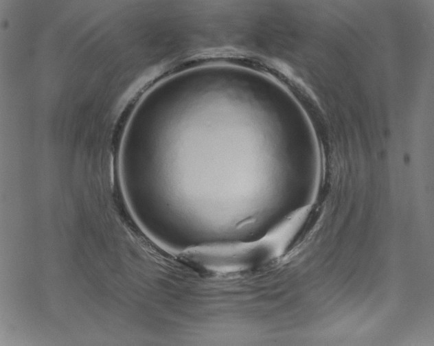 X0000070191221200606021049