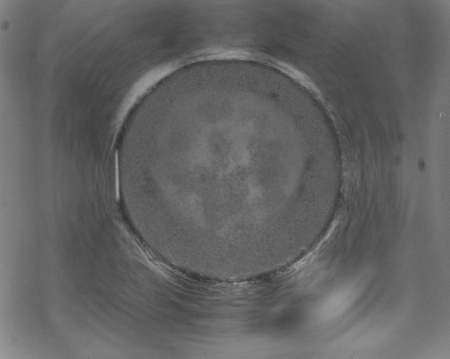 X0000070191223200606021049