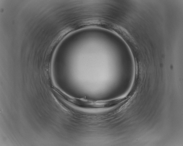 X0000070191225200606021049