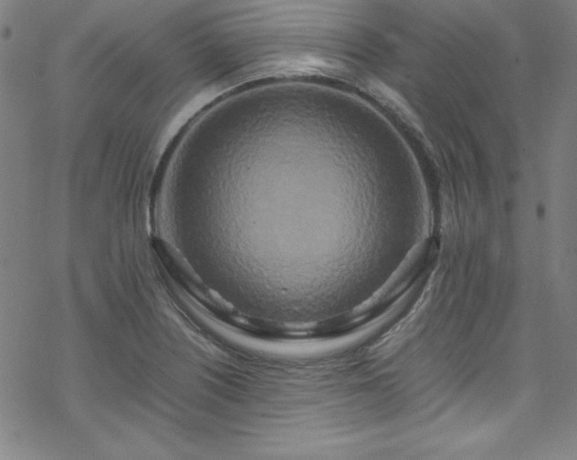 X0000070191226200606021049