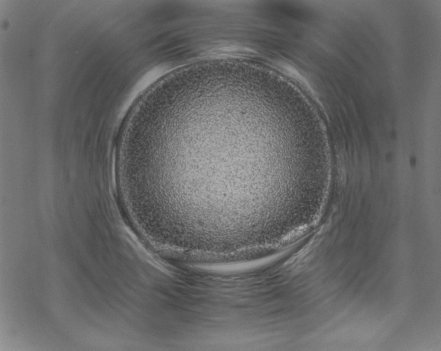 X0000070191227200606021049