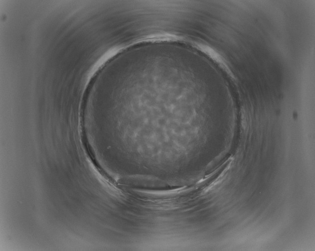 X0000070191229200606021049