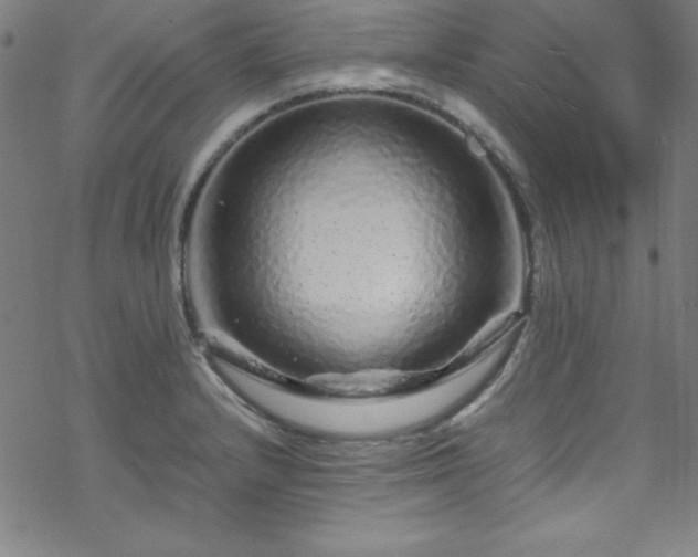 X0000070191232200606021049