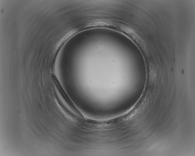 X0000070191233200606021049