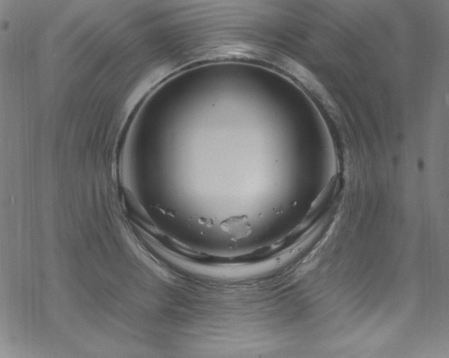 X0000070191234200606021049