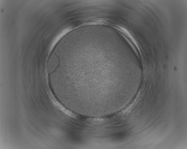 X0000070191235200606021049