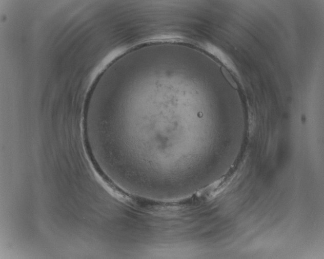 X0000070191237200606021049