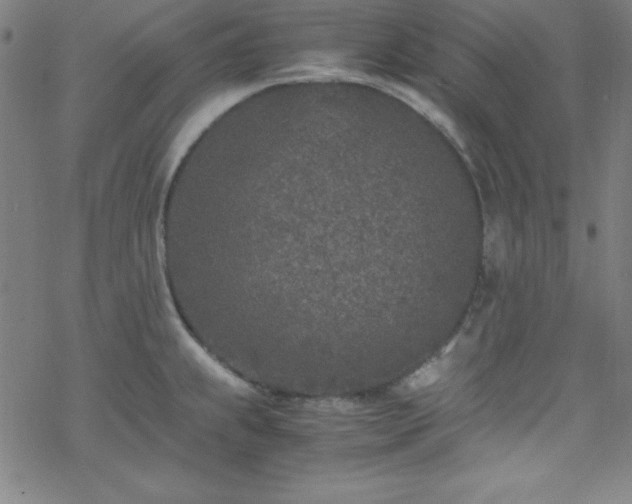 X0000070191239200606021049