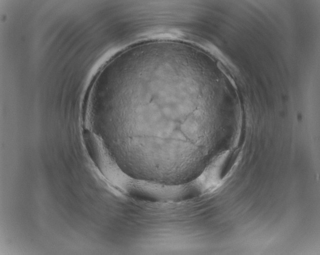 X0000070191240200606021049