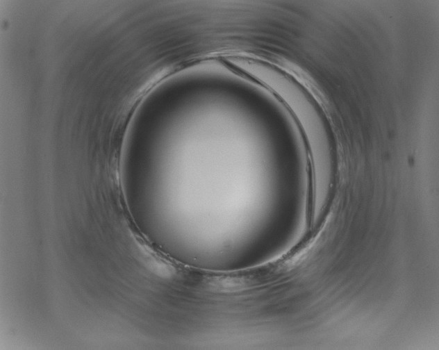 X0000070191241200606021049