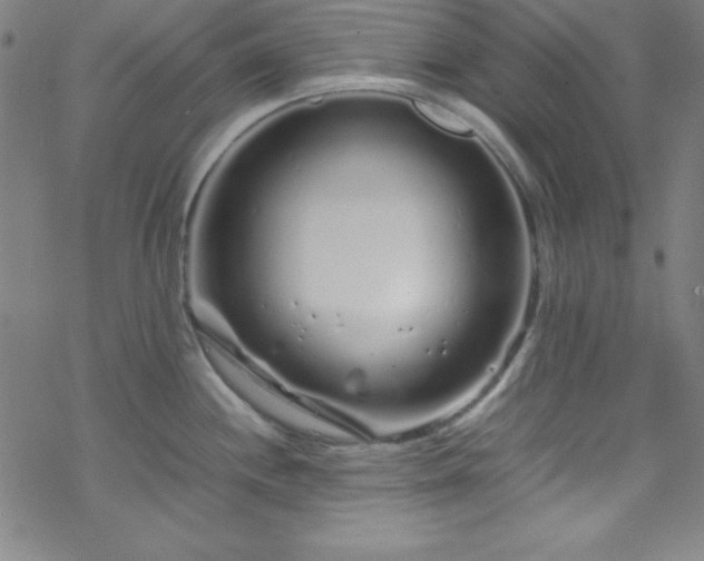 X0000070191244200606021049