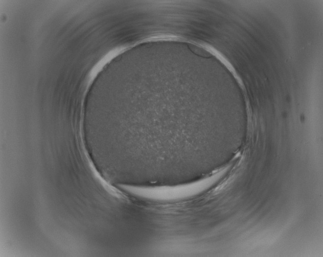 X0000070191245200606021049