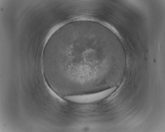 X0000070191247200606021049