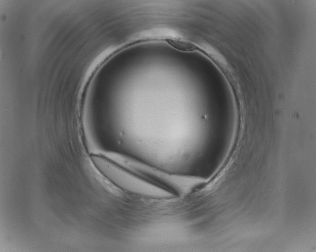 X0000070191248200606021049