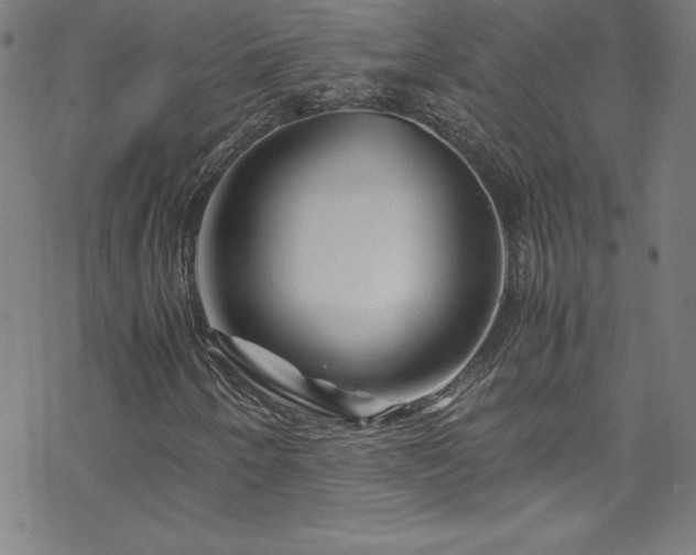 X0000070191250200606021048