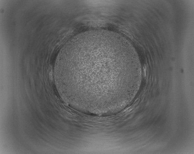 X0000070191251200606021048