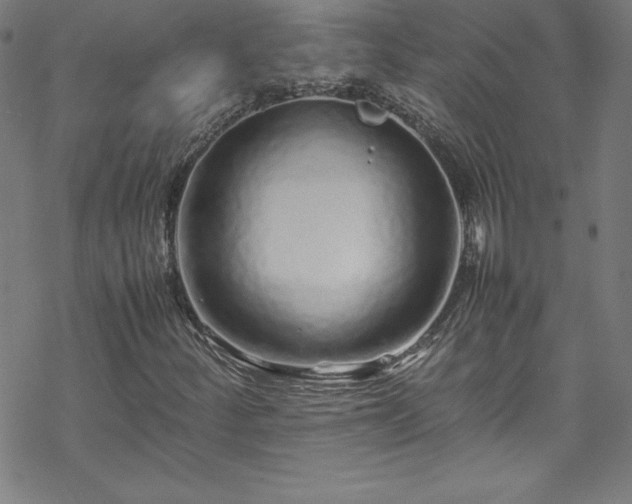 X0000070191252200606021048