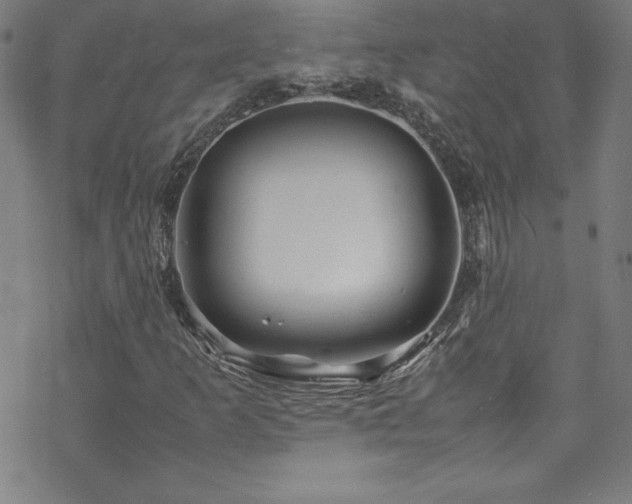 X0000070191253200606021048