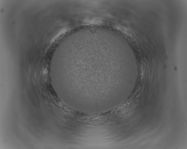 X0000070191254200606021048