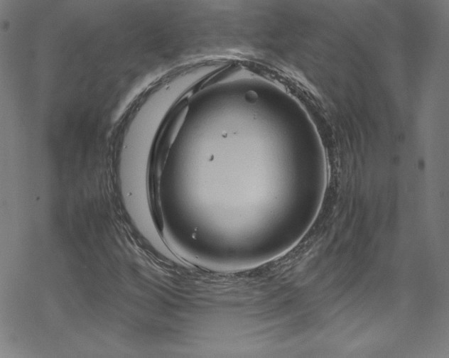 X0000070191256200606021048