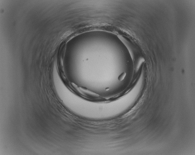 X0000070191257200606021048