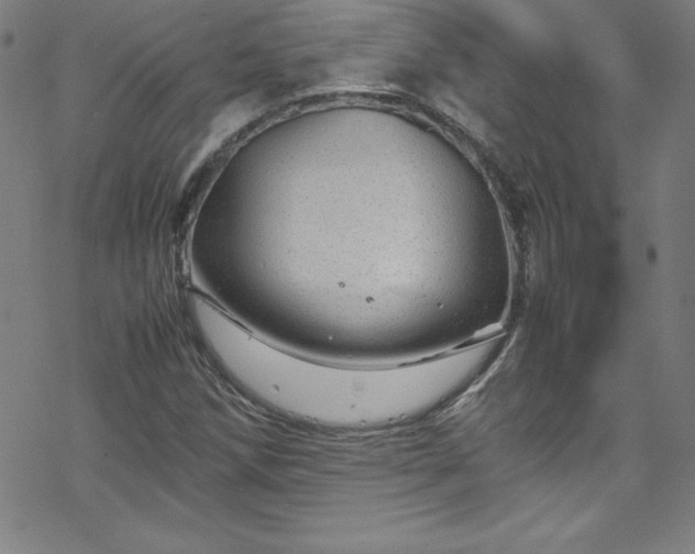 X0000070191258200606021048