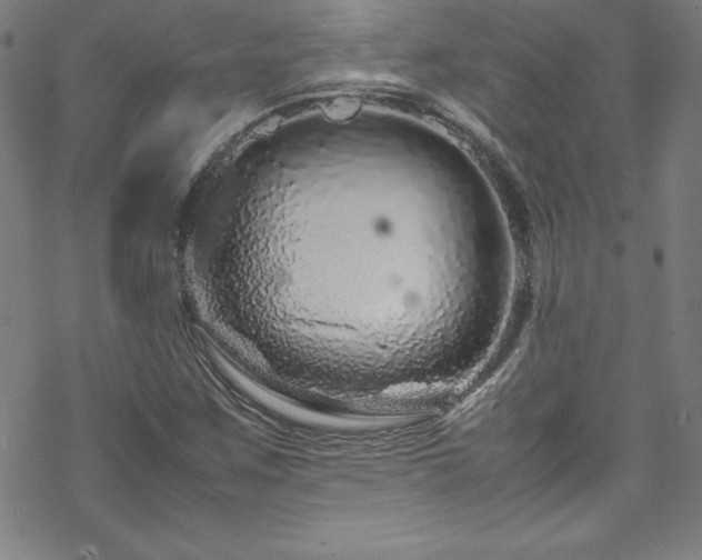 X0000070191259200606021048