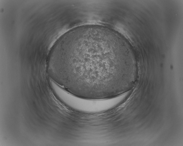 X0000070191260200606021048