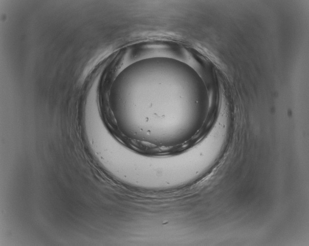 X0000070191261200606021048