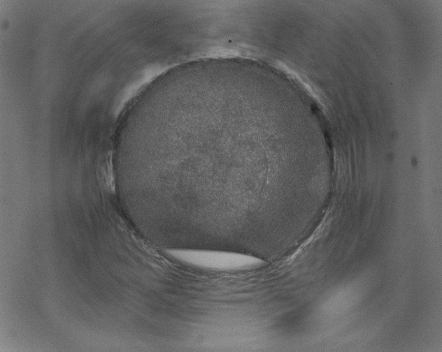 X0000070191262200606021048