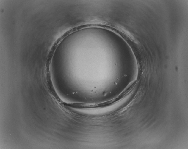 X0000070191264200606021048