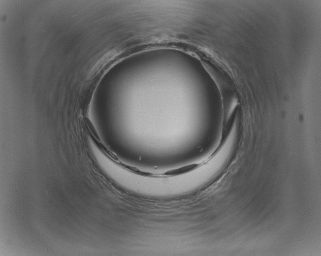 X0000070191265200606021048